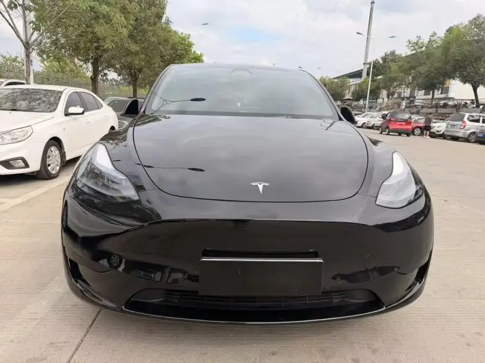Model Y 2023 Model Rear-wheel drive version – фото 2
