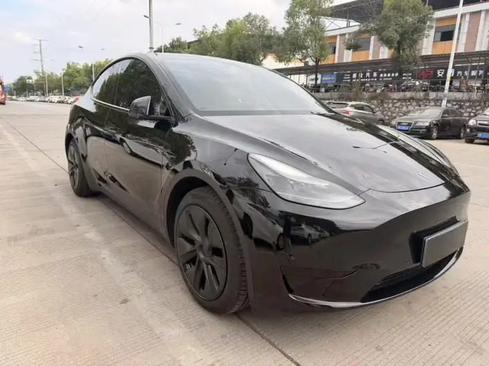 Model Y 2023 Model Rear-wheel drive version – фото 3
