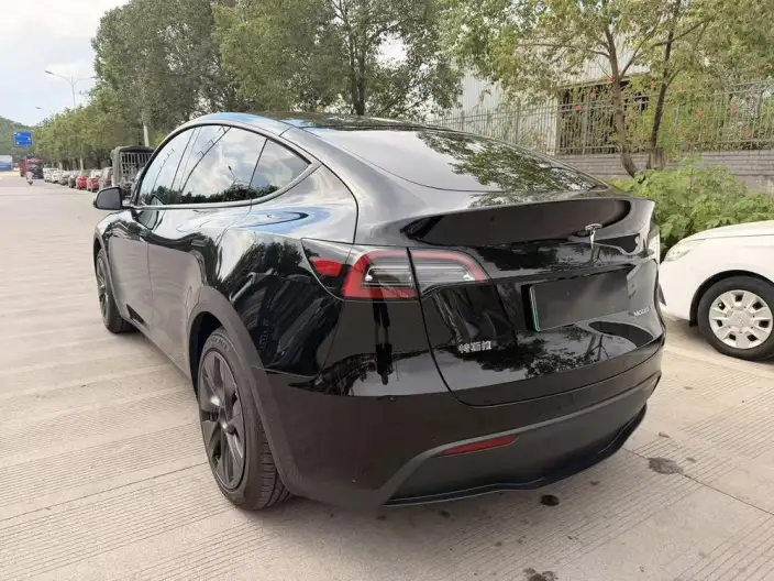 Model Y 2023 Model Rear-wheel drive version – фото 4
