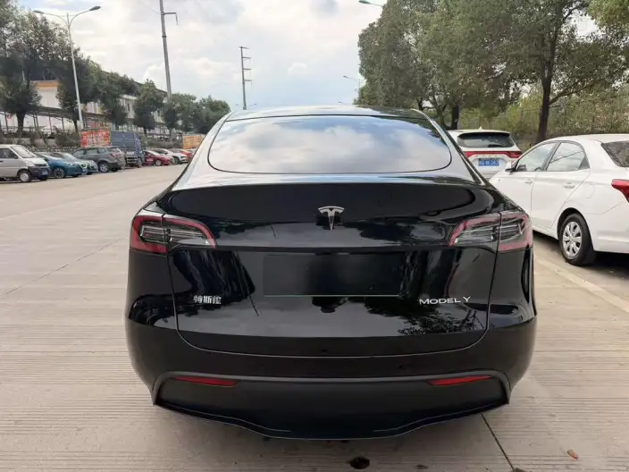Model Y 2023 Model Rear-wheel drive version – фото 5