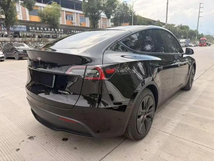 Model Y 2023 Model Rear-wheel drive version – фото 6