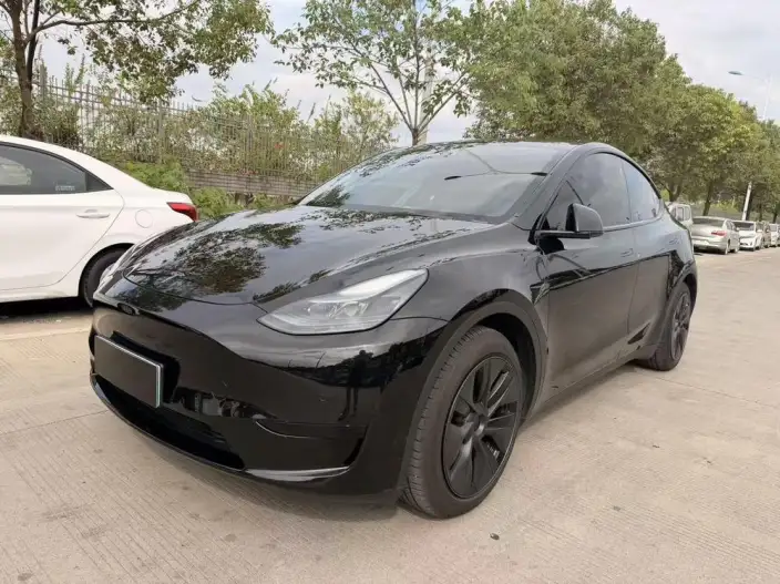 Model Y 2023 Model Rear-wheel drive version – фото 10