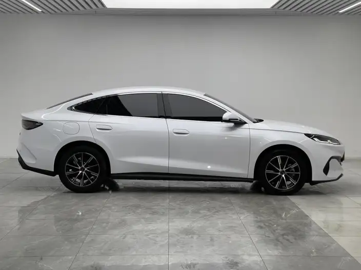 BYD Seal 06 DM 2024 Model DM-i 80KM Noble Model – фото 8