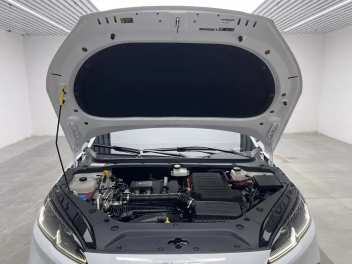 BYD Seal 06 DM 2024 Model DM-i 80KM Noble Model – фото 10