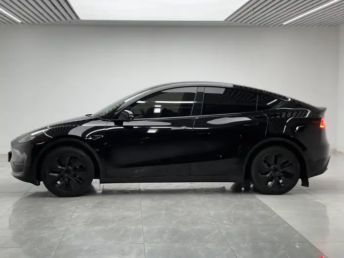 Model Y 2023 Model Rear-wheel drive version – фото 4