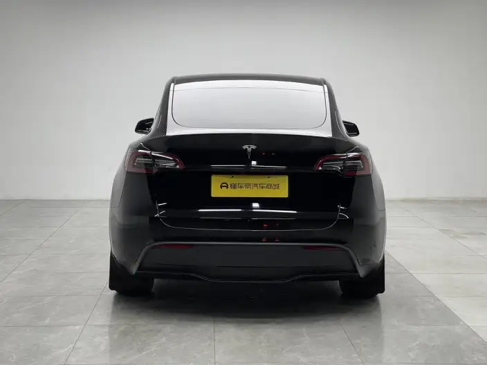 Model Y 2023 Model Rear-wheel drive version – фото 6