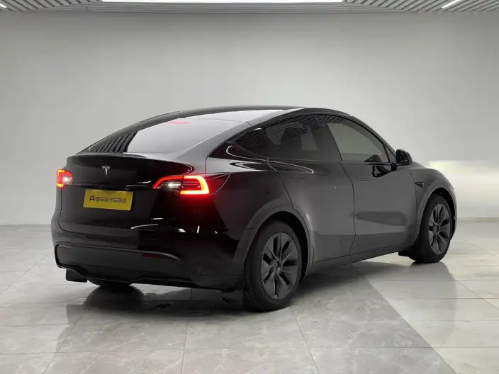 Model Y 2023 Model Rear-wheel drive version – фото 7