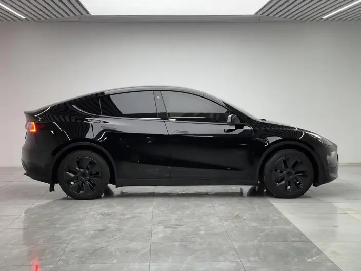Model Y 2023 Model Rear-wheel drive version – фото 8