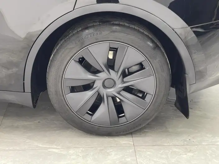 Model Y 2023 Model Rear-wheel drive version – фото 9