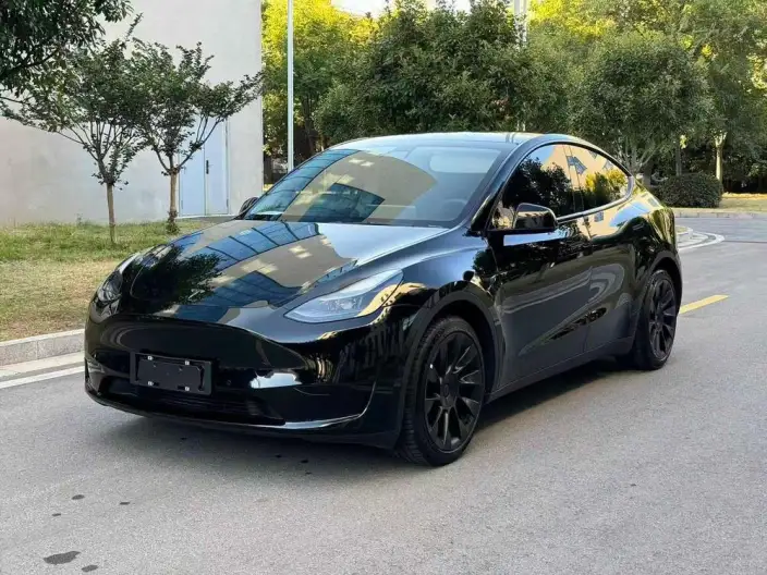 Model Y 2022 Model Rear-wheel drive version – фото 1