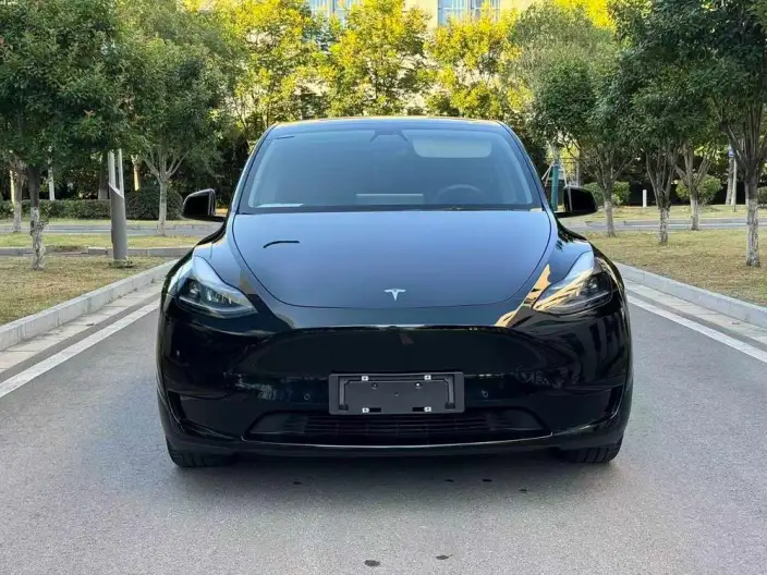 Model Y 2022 Model Rear-wheel drive version – фото 2