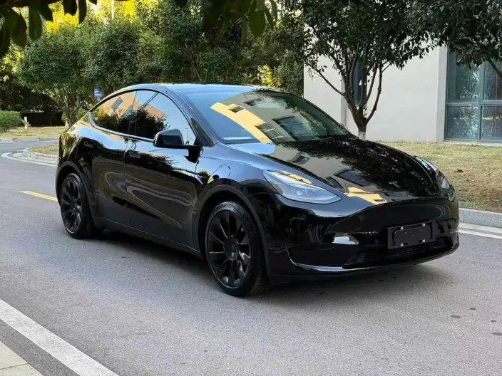 Model Y 2022 Model Rear-wheel drive version – фото 3