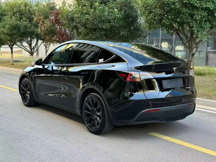 Model Y 2022 Model Rear-wheel drive version – фото 4