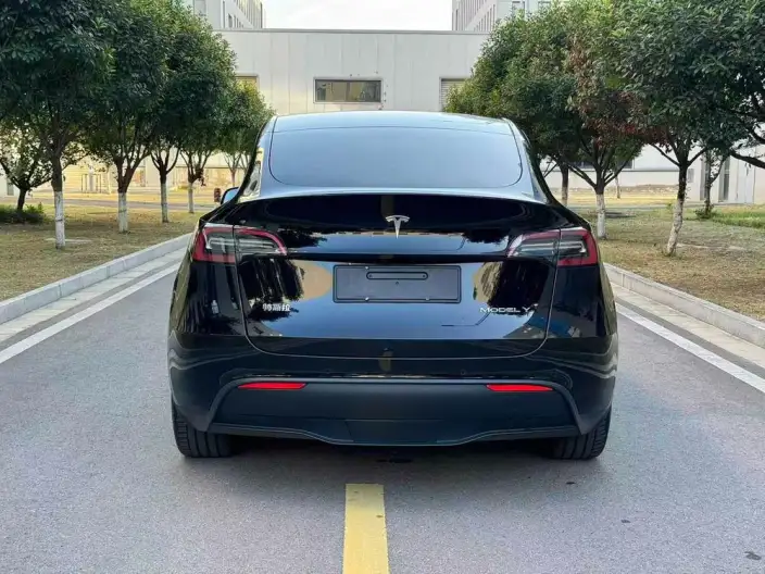 Model Y 2022 Model Rear-wheel drive version – фото 5