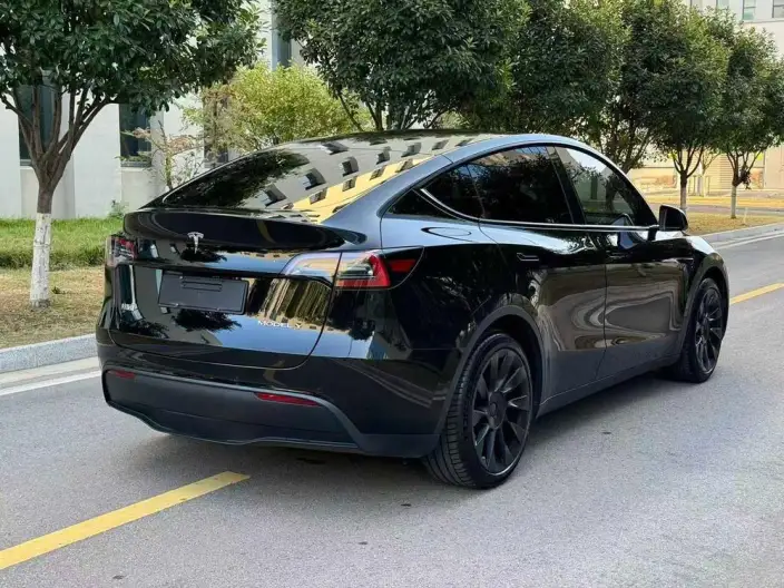 Model Y 2022 Model Rear-wheel drive version – фото 6