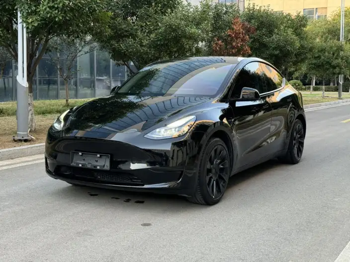 Model Y 2022 Model Rear-wheel drive version – фото 1