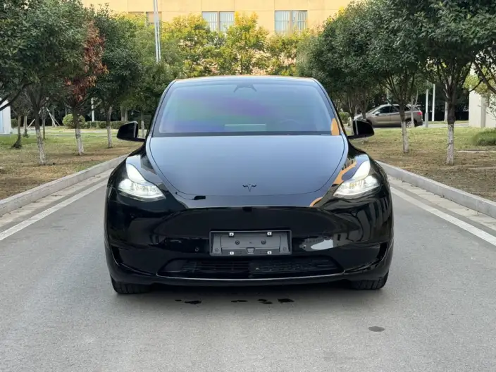 Model Y 2022 Model Rear-wheel drive version – фото 2