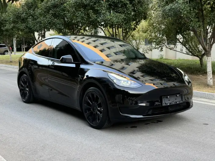 Model Y 2022 Model Rear-wheel drive version – фото 3