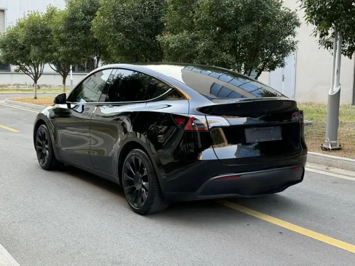 Model Y 2022 Model Rear-wheel drive version – фото 4