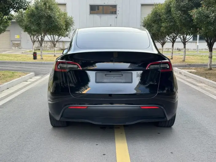 Model Y 2022 Model Rear-wheel drive version – фото 5