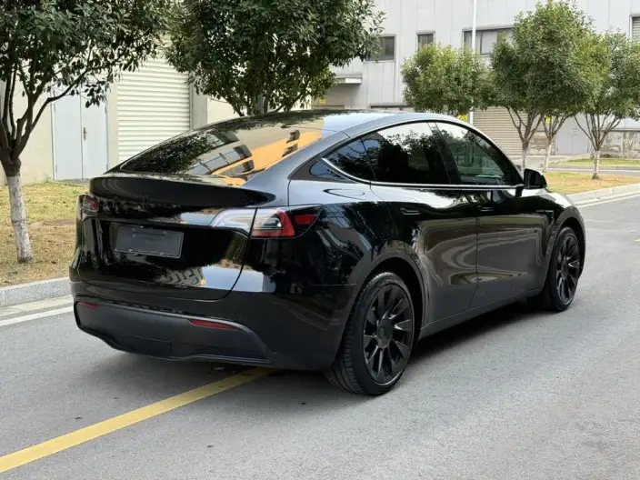 Model Y 2022 Model Rear-wheel drive version – фото 6