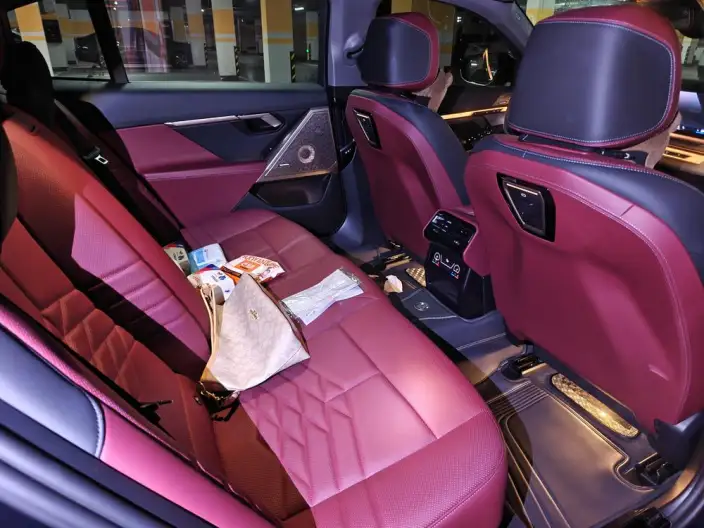 BMW 5 Series 2024 Model 530Li Exclusive Model Luxury Set – фото 10