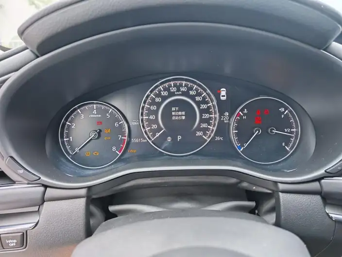 Mazda3 Axela 2020 Model 2.0L Automatic Zhi Ya Edition – фото 8