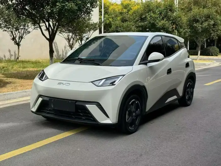 BYD Seagull 2024 Model Honor Edition 305KM Vitality Edition – фото 1