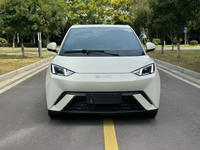 BYD Seagull 2024 Model Honor Edition 305KM Vitality Edition – фото 2