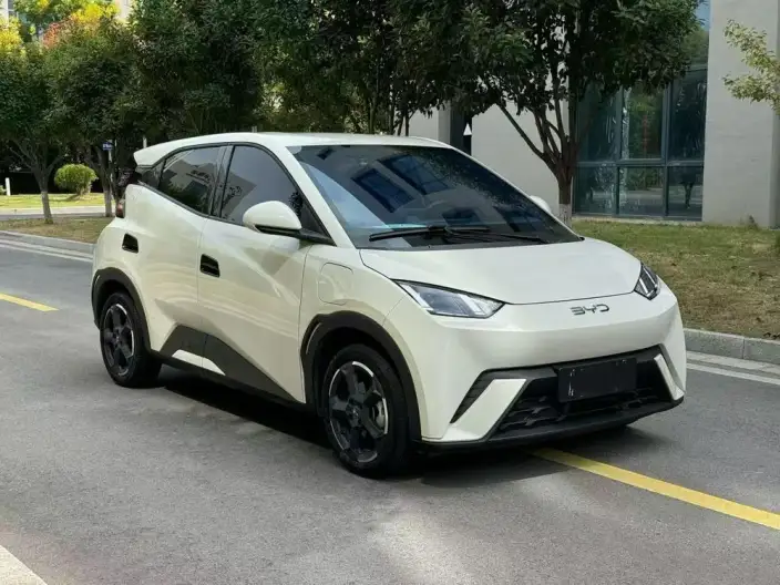 BYD Seagull 2024 Model Honor Edition 305KM Vitality Edition – фото 3