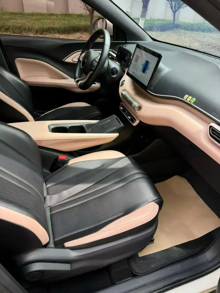 BYD Seagull 2024 Model Honor Edition 305KM Vitality Edition – фото 7