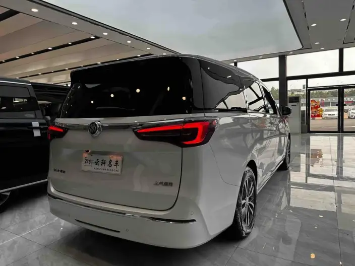 Buick GL8 2022 Model ES Luzun 653T Comfort Model – фото 6