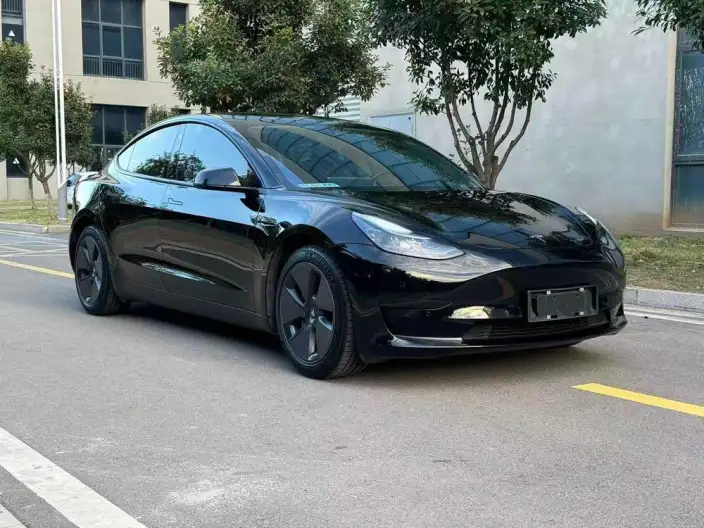 Model 3 2022 Model Rear-wheel drive version – фото 3