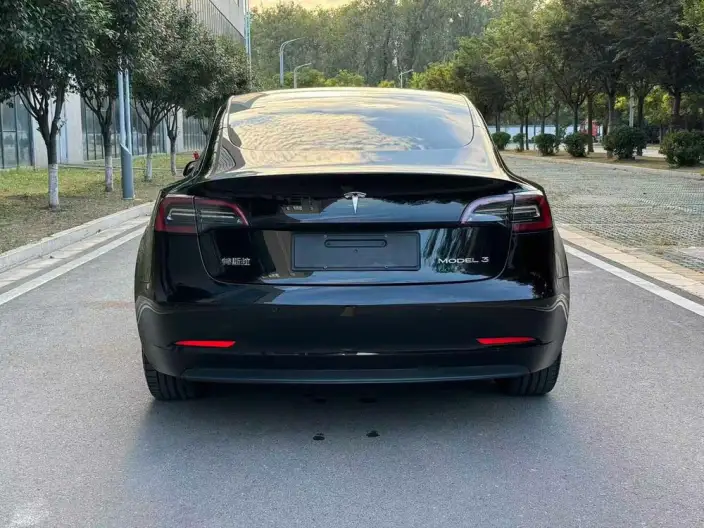 Model 3 2022 Model Rear-wheel drive version – фото 5