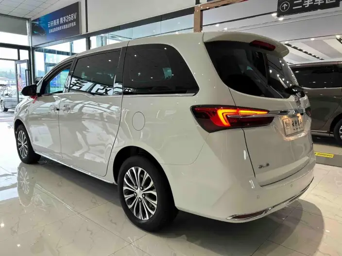 Buick GL8 2023 Model Business class 2.0T Comfort Model – фото 4