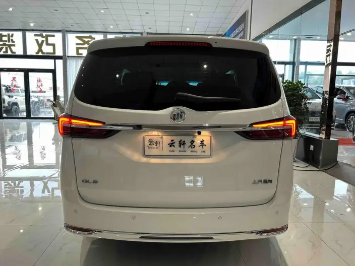 Buick GL8 2023 Model Business class 2.0T Comfort Model – фото 5