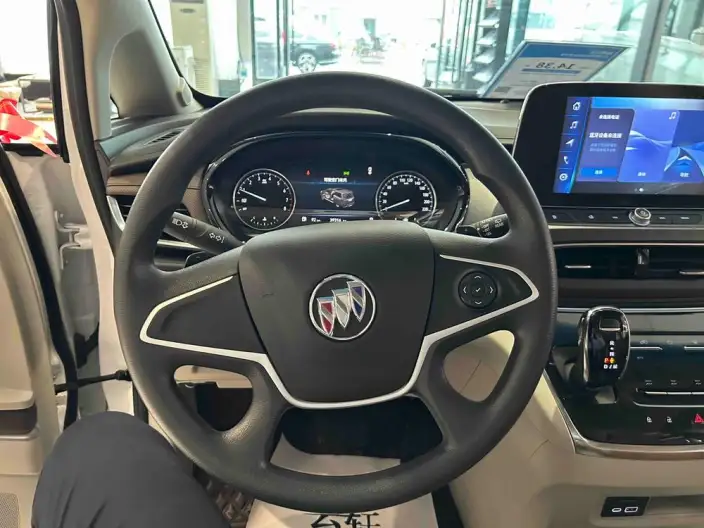 Buick GL8 2023 Model Business class 2.0T Comfort Model – фото 10