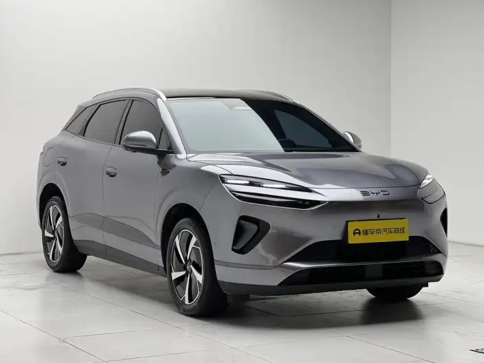 Sea Lion 06DM 2025 Model DM-i 205KM Pilot Pro Edition – фото 3