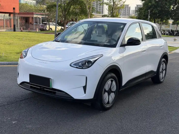 Geely Galaxy StarWish 2025 Model 310km Youth Edition