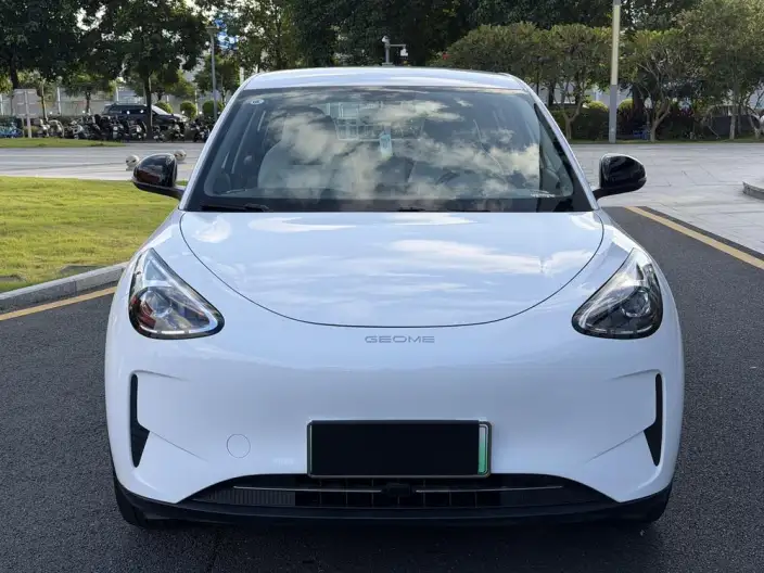 Geely Galaxy StarWish 2025 Model 310km Youth Edition
