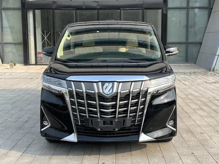 Elfa 2021 Model Hybrid 2.5L Premium Edition – фото 2
