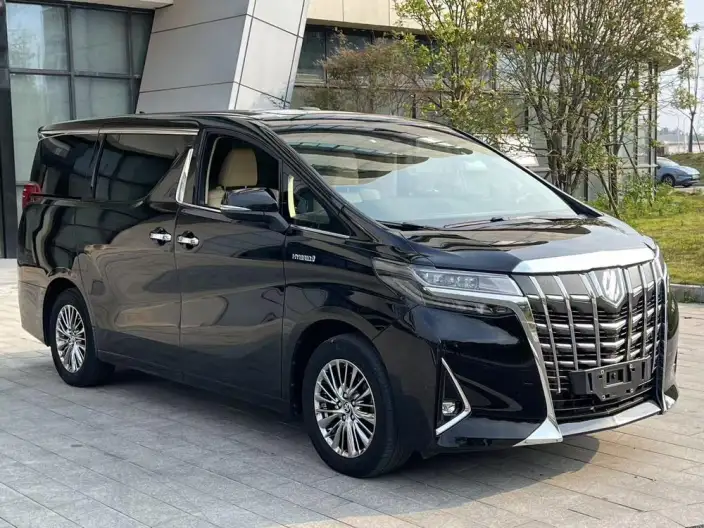 Elfa 2021 Model Hybrid 2.5L Premium Edition – фото 3
