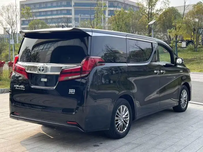 Elfa 2021 Model Hybrid 2.5L Premium Edition – фото 6