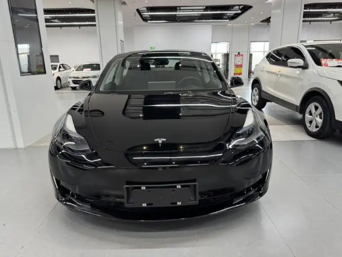 Model 3 2022 Model Rear-wheel drive version – фото 2