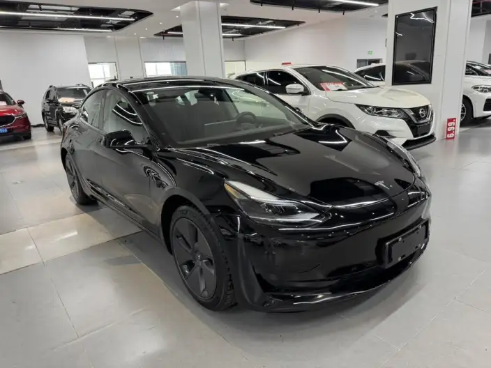 Model 3 2022 Model Rear-wheel drive version – фото 3