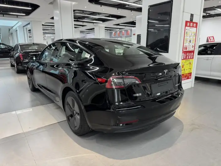 Model 3 2022 Model Rear-wheel drive version – фото 4