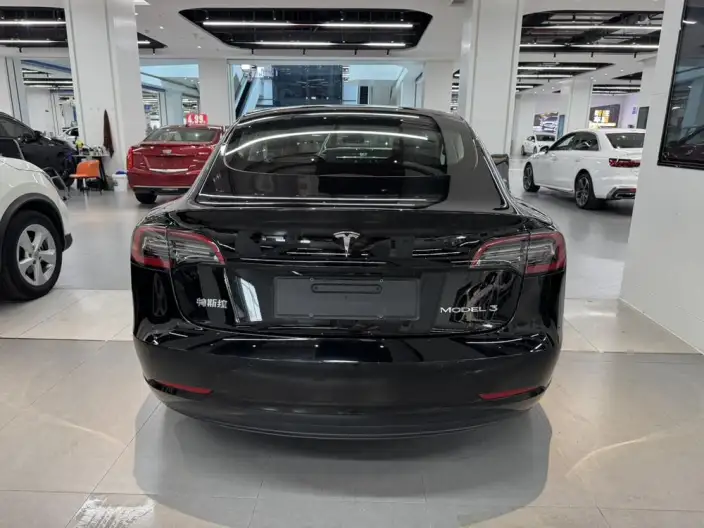 Model 3 2022 Model Rear-wheel drive version – фото 5