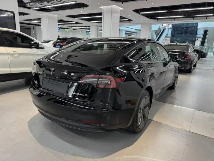 Model 3 2022 Model Rear-wheel drive version – фото 6