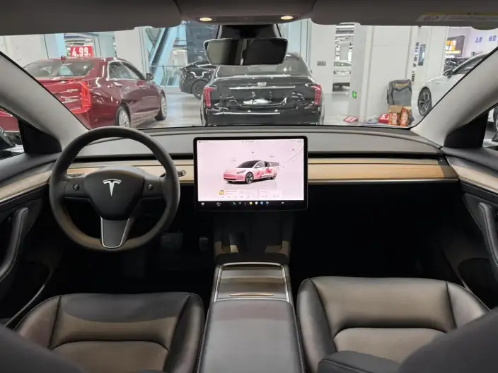 Model 3 2022 Model Rear-wheel drive version – фото 7