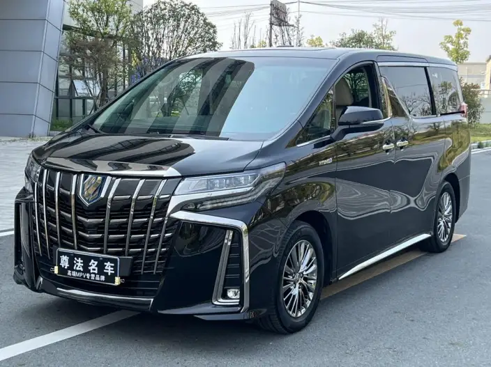 Elfa 2022 Model Hybrid 2.5L Zhen Xiang · Gold Edition – фото 1